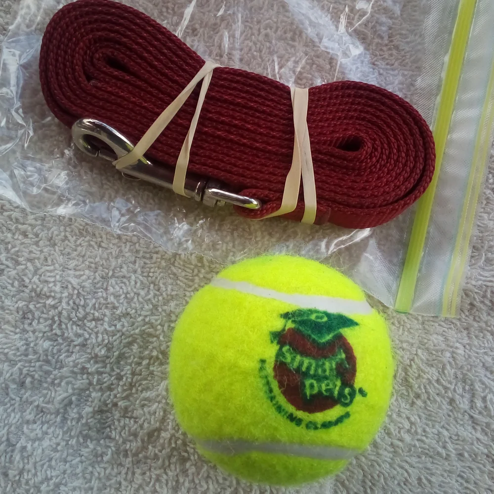 Leash and Ball Emergency Kit